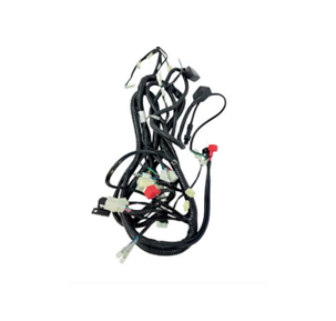 Ramal eléctrico